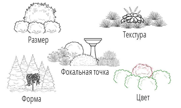 
 Доминирование  в ландшафтном дизайне может быть выражено РАЗМЕРОМ, выделяющейся  ТЕКСТУРОЙ, более сильной ФОРМОЙ, более сильным ЦВЕТОМ или наличием  ФОКАЛЬНОЙ ТОЧКИ.