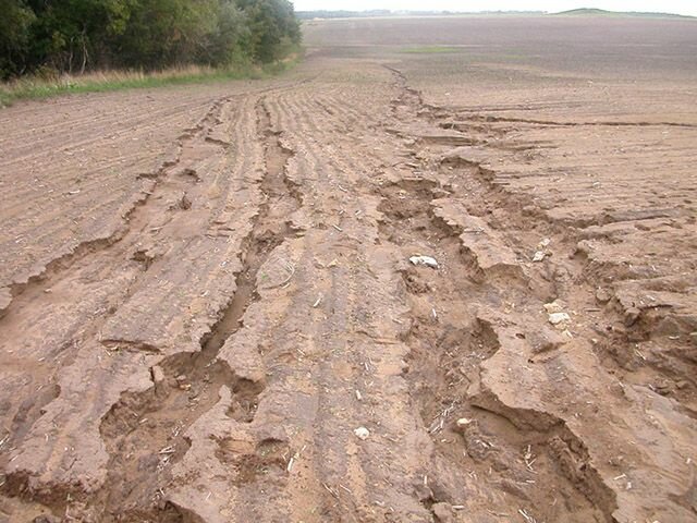 Водная эрозия плодородной почвы при отсутствии дренажа — серьезная проблема в сельском хозяйстве