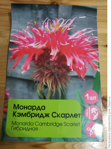 Мои открытия в саду и огороде 2018 года