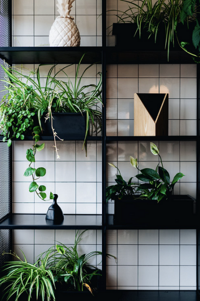 7 вау-идей для декора открытых стеллажей и полок