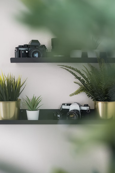 7 вау-идей для декора открытых стеллажей и полок