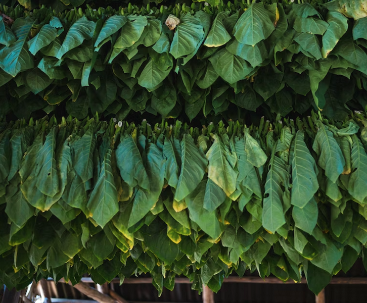 7 ароматов, которые сделают ваш интерьер «дорогим»