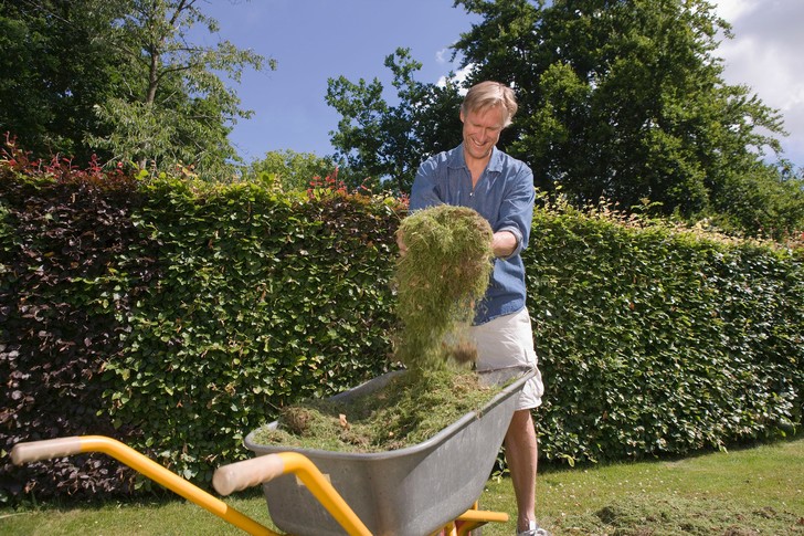 Что такое мульчирование и для чего оно нужно