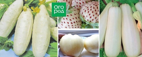 Есть вопрос: Как определить зрелость овощей с необычной расцветкой?