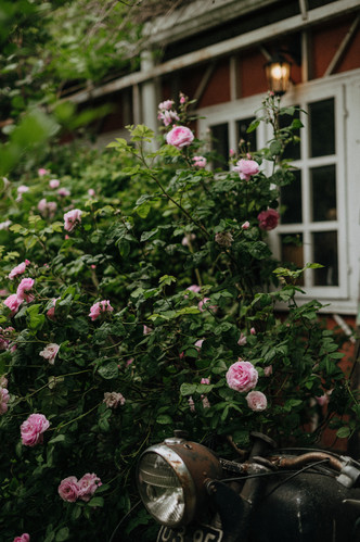 Стеклянный дом «Теплица» в живописном саду