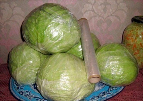 Как сохранить капусту в свежем виде до весны без потерь