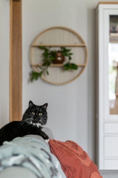 Потрясающее до и после: как дизайнер преобразила трехкомнатную хрущевку 57 кв. м