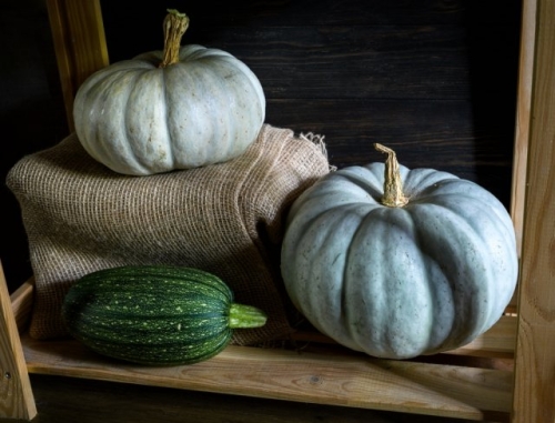 Где и как хранить тыквы