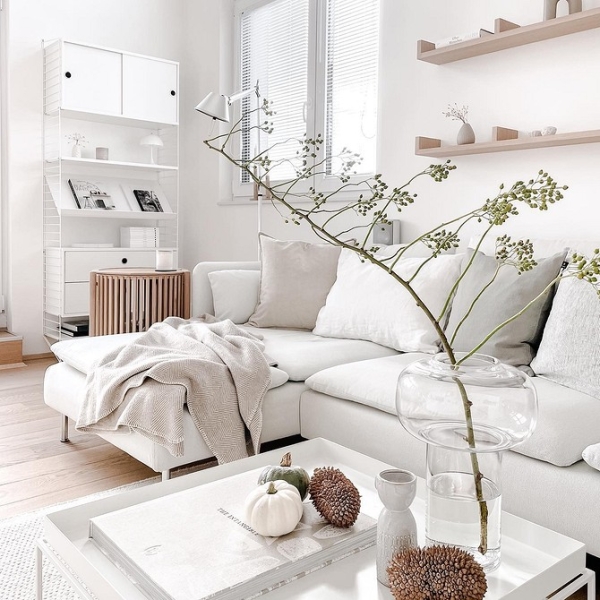 Белый цвет в интерьере: как использовать и с чем сочетать (47 фото)