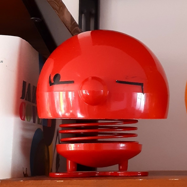 Назад в будущее: жительница Роттердама превратила свою квартиру в рай 1970-х