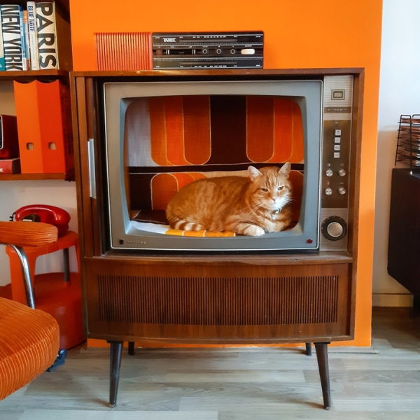 Назад в будущее: жительница Роттердама превратила свою квартиру в рай 1970-х