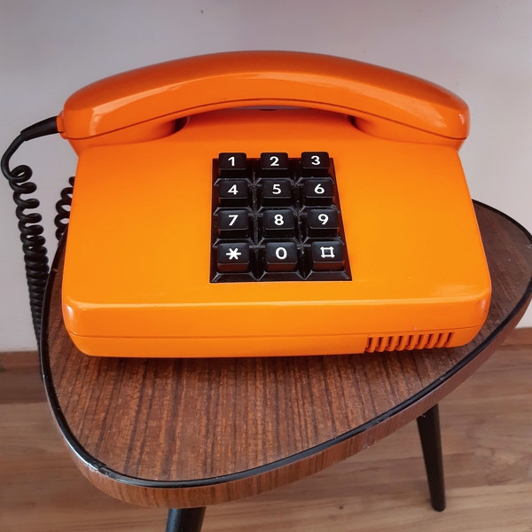 Назад в будущее: жительница Роттердама превратила свою квартиру в рай 1970-х