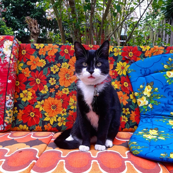 Назад в будущее: жительница Роттердама превратила свою квартиру в рай 1970-х