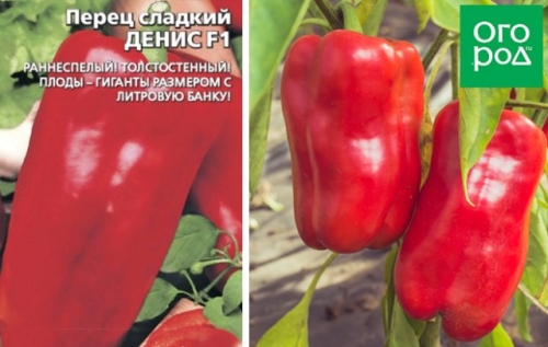 13 сортов сладкого перца с самыми крупными плодами