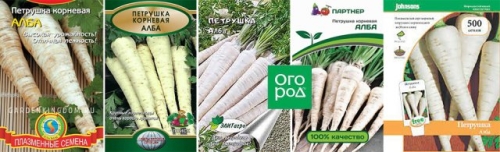 Лучшие сорта петрушки – корневой и листовой