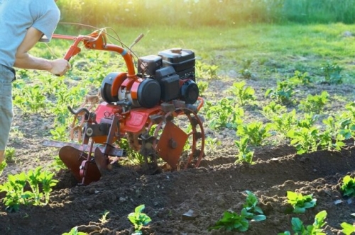 Выращивание картофеля по Лунному календарю в 2023 году