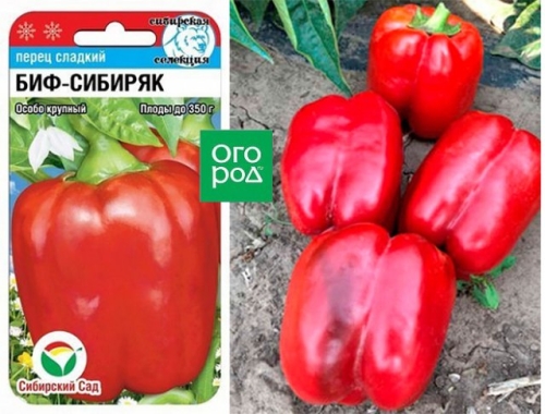 13 сортов сладкого перца с самыми крупными плодами