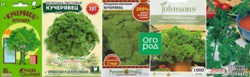 Лучшие сорта петрушки – корневой и листовой