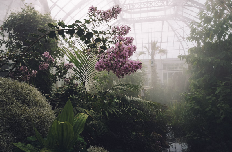 8 способов найти новый дом для комнатных растений