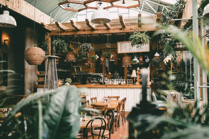 8 способов найти новый дом для комнатных растений