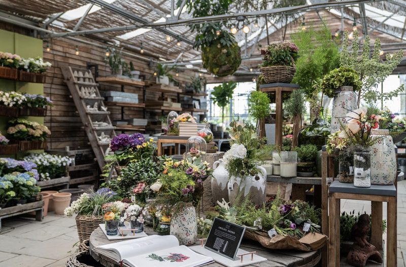 8 способов найти новый дом для комнатных растений