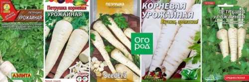 Лучшие сорта петрушки – корневой и листовой