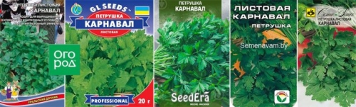 Лучшие сорта петрушки – корневой и листовой