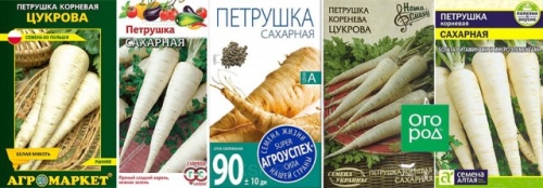 Лучшие сорта петрушки – корневой и листовой