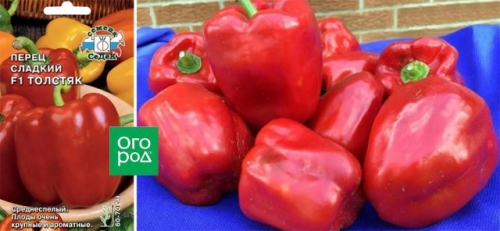 13 сортов сладкого перца с самыми крупными плодами