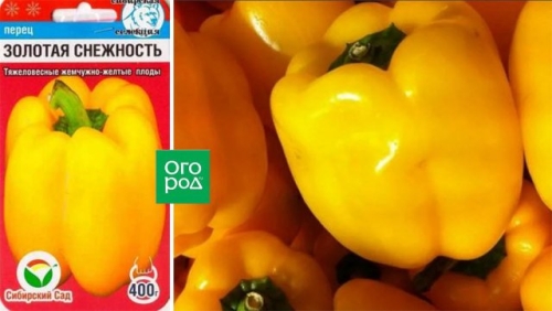 13 сортов сладкого перца с самыми крупными плодами