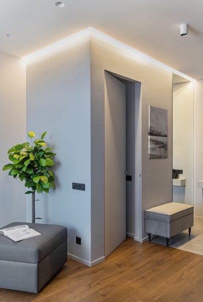 Уютно и функционально: двухкомнатная квартира 62 кв. м для девушки