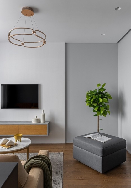 Уютно и функционально: двухкомнатная квартира 62 кв. м для девушки