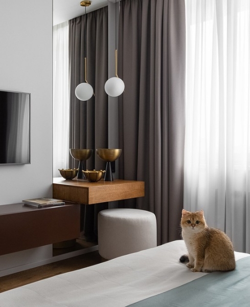 Уютно и функционально: двухкомнатная квартира 62 кв. м для девушки