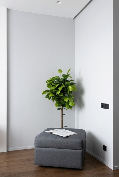 Уютно и функционально: двухкомнатная квартира 62 кв. м для девушки