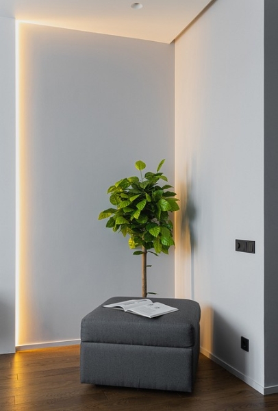 Уютно и функционально: двухкомнатная квартира 62 кв. м для девушки