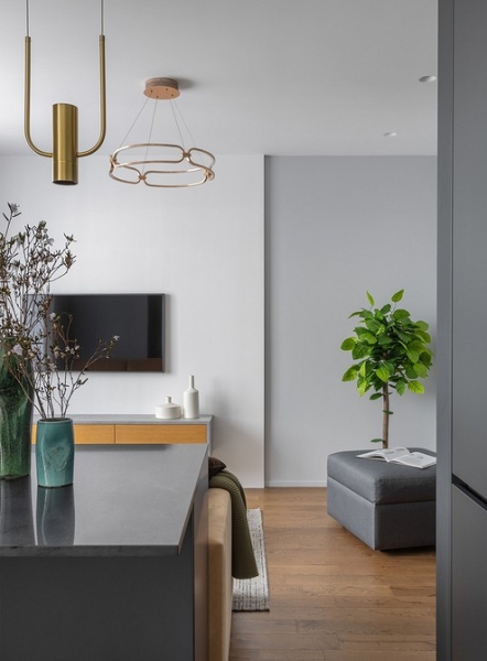 Уютно и функционально: двухкомнатная квартира 62 кв. м для девушки