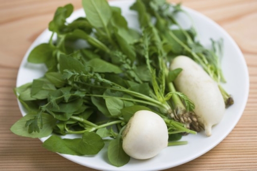 Готовимся к весне: 20 сортов самого раннего и вкусного редиса