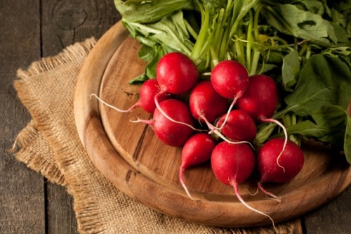 Готовимся к весне: 20 сортов самого раннего и вкусного редиса