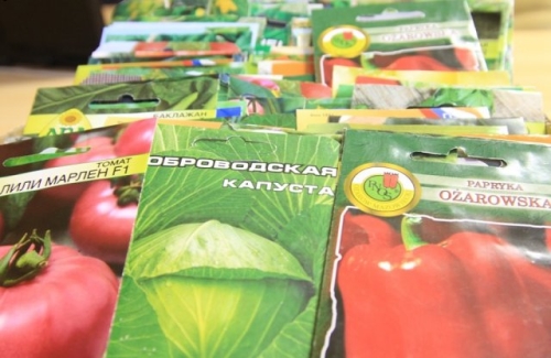 10 ошибок, которые мы допускаем при покупке семян на следующий год