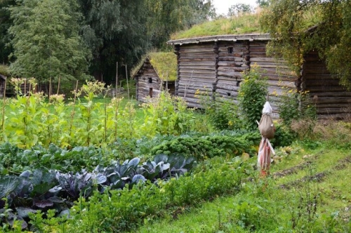 10 ошибок начинающих дачников