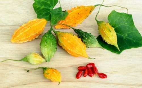 Необычные и экзотические виды огурцов для дачи