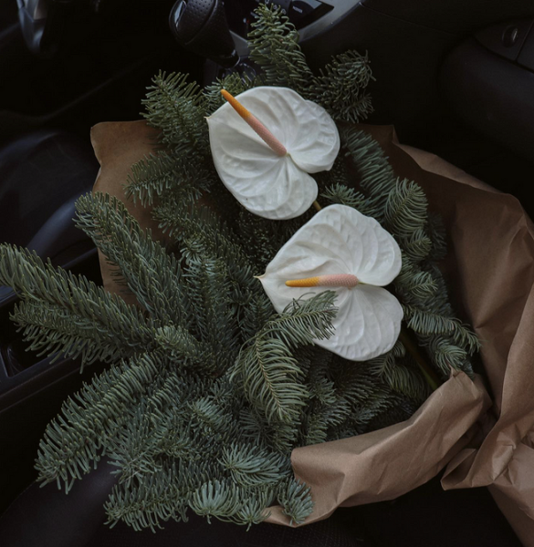 6 красивых растений для составления зимнего букета