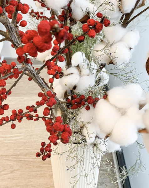 6 красивых растений для составления зимнего букета