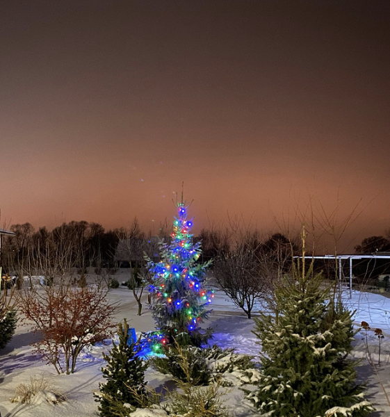 7 невероятных идей для украшения дачи к Новому году