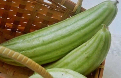 Необычные и экзотические виды огурцов для дачи