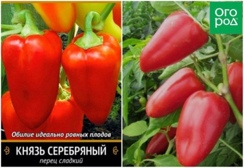 Лучшие сорта и гибриды сладкого перца для средней полосы России