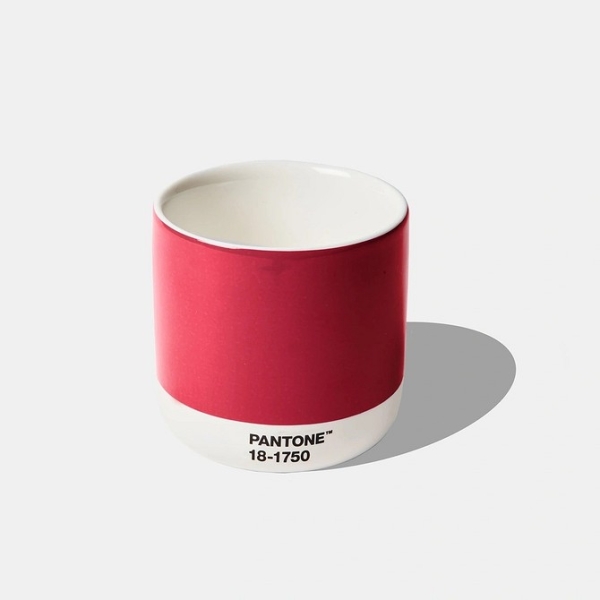 Как использовать в интерьере цвет года-2023 Pantone Viva Magenta: 4 совета от дизайнеров