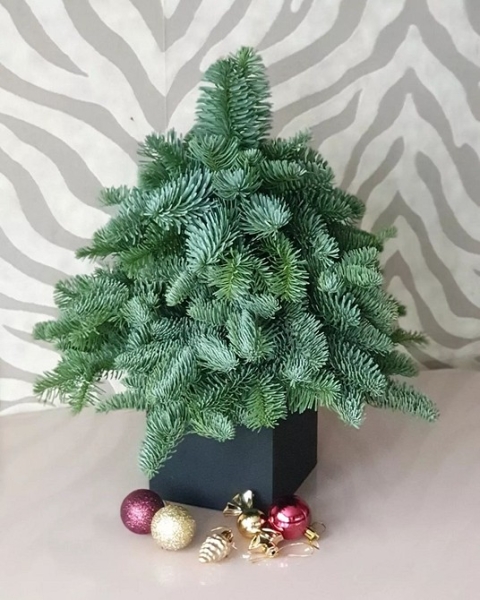 Как сделать новогодние композиции своими руками: идеи с видеоинструкциями и 62 фото