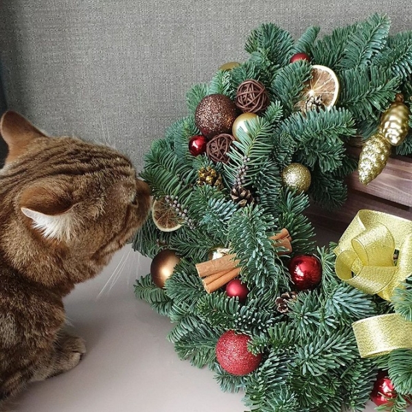 Как сделать новогодние композиции своими руками: идеи с видеоинструкциями и 62 фото