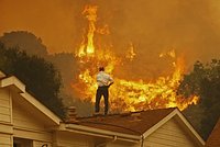 Ситуацию с глобальной проблемой описали фразой &laquo;время не на нашей стороне&raquo;